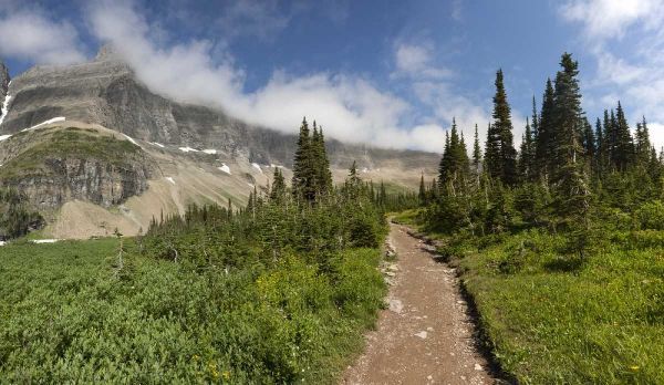Montana, Glacier NP Hiking trail and landscape